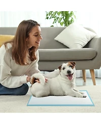 Cozito Puppy 300 Count 6 Layer Leak Proof