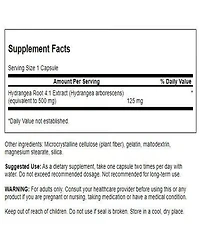 Swanson Hydrangea Root Extract Herbal Supplement Promoting Traditional Urinary Tract Health May Support Prostate Health for Men (90 Capsules)