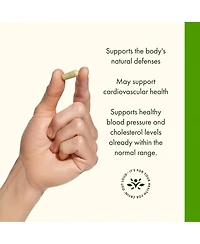 Swanson Olive Leaf Extract Capsules with 20% Oleuropein (120 Capsules, 500mg Each)
