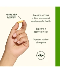 Swanson B50 BComplex HighPotency B Vitamin Complex for Immune, Heart, and Nervous System Support 250 Capsules