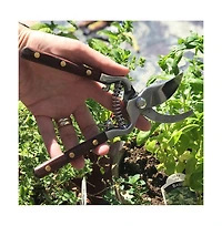 Verve Culture Thai Kitchen and Garden Shears