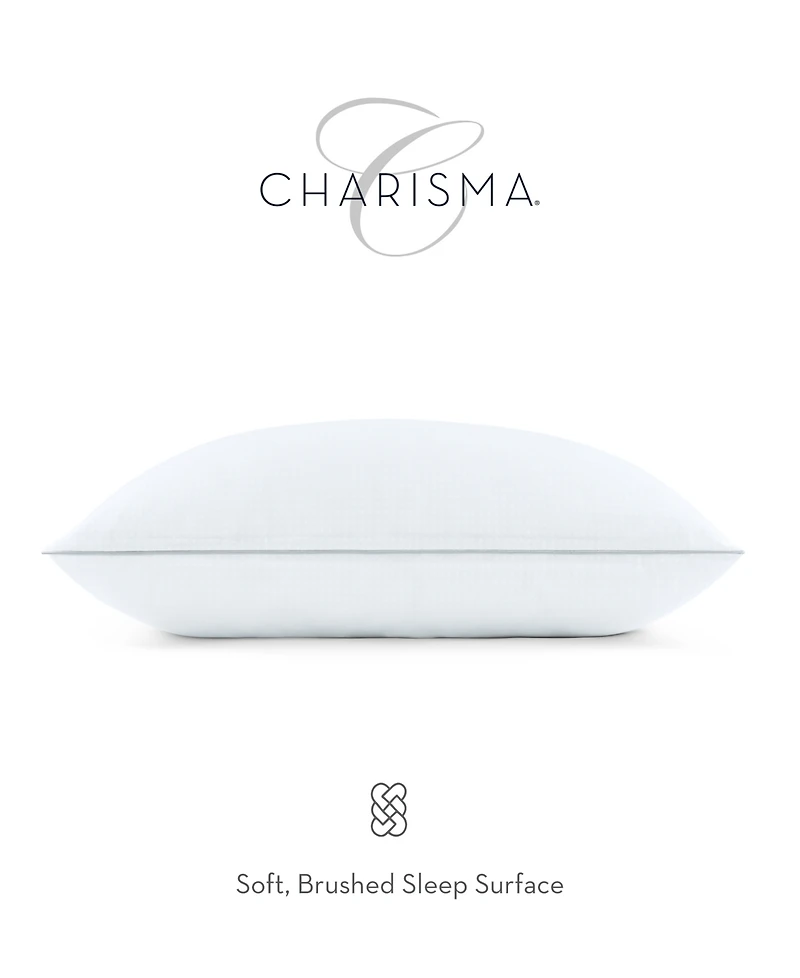 Charisma High-Lofting Swiss Dot Embossed 2-Pack Pillow Set, Standard/Queen