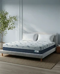 Noctua Tern 12" Hybrid Firm Tight Top Mattress