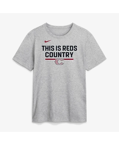 Nike Men's Heather Gray Cincinnati Reds 2026 City Connect Stacked Team Phrase T-Shirt