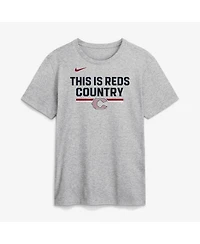 Nike Men's Heather Gray Cincinnati Reds 2026 City Connect Stacked Team Phrase T-Shirt
