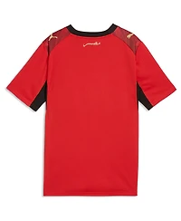 Puma Big Boys and Girls Red Egypt National Team 2026 Home Replica Jersey