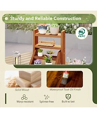 Gouun 4-Tier Solid Wood Plant Stand with Teak Oil Finish