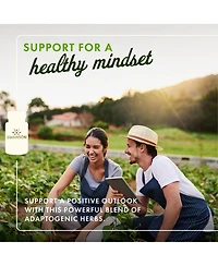 Swanson Rhodiola Ashwagandha Ginseng Complex Energy Immune Function Nervous System Stress Support Adaptogen Herb Supplement 60 Capsules