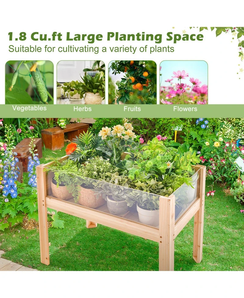 Gouun Fir Wood Raised Garden Bed with Acrylic Side Panels
