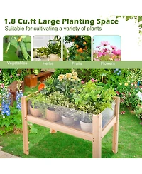 Gouun Fir Wood Raised Garden Bed with Acrylic Side Panels