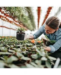 Pro Cal 10 Gallon Premium Nursery Black Plastic Planter Garden Grow Pots, 5 Pack