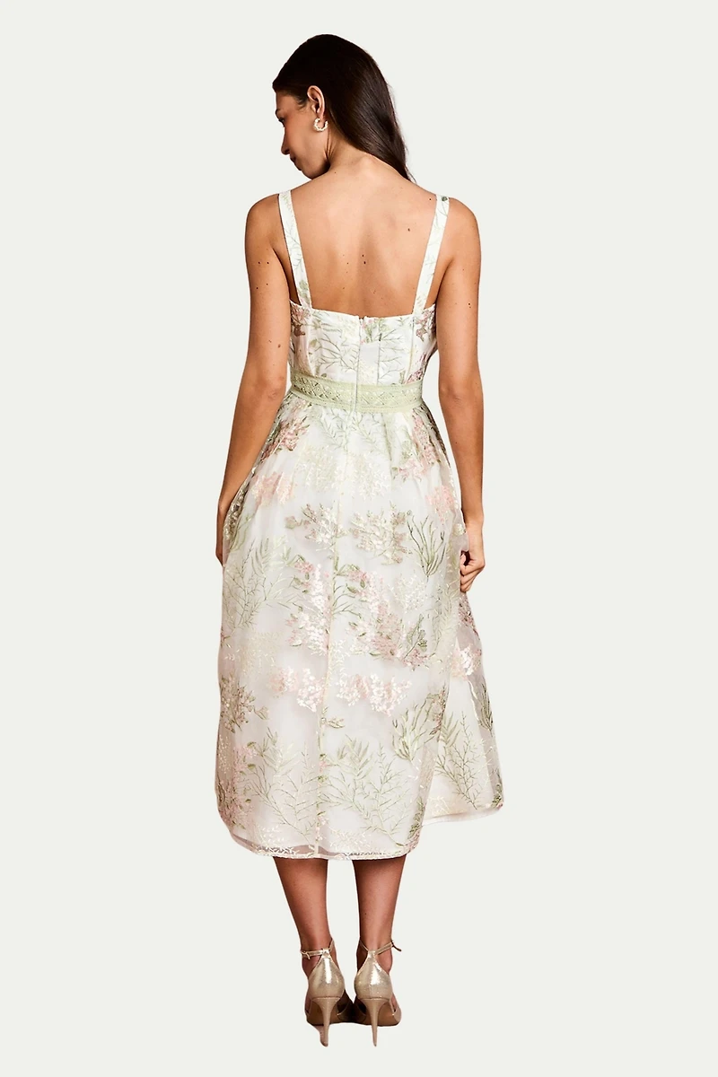 Coast Women's Fan Bodice Embroidered Mesh Midi Dress