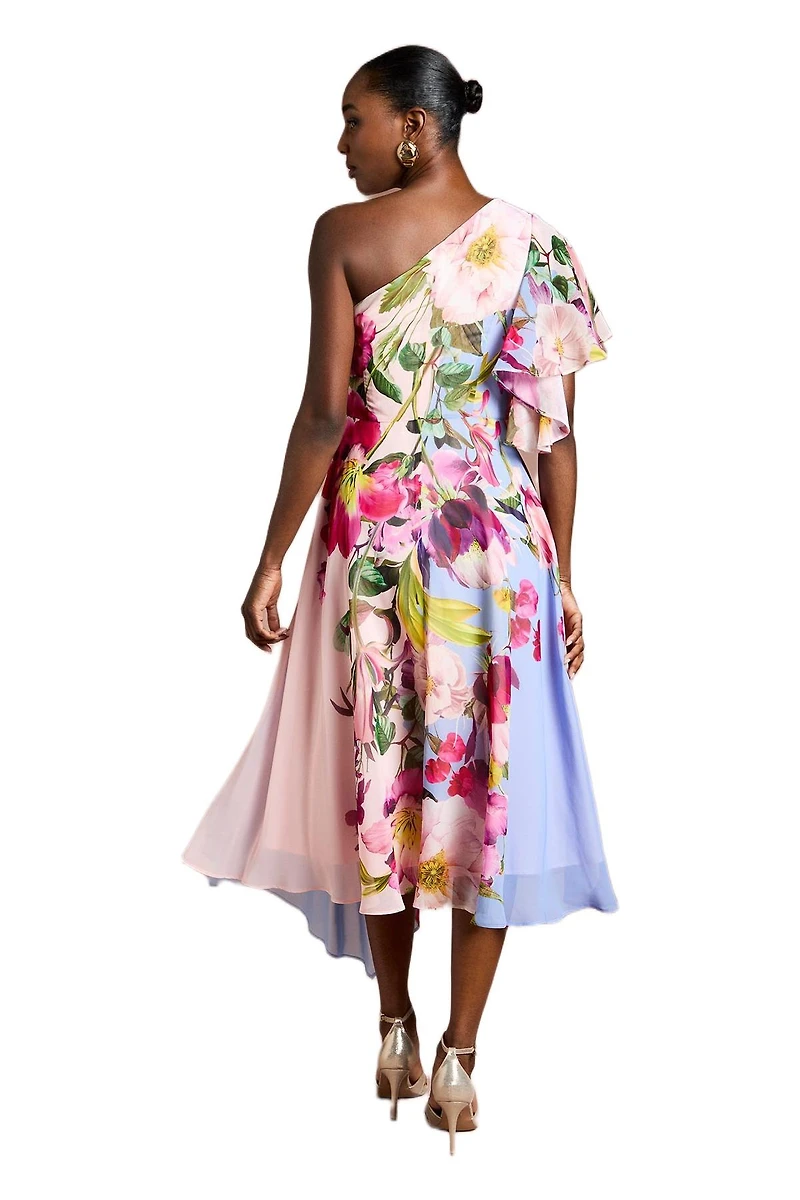 Coast Women's Floral Printed Chiffon Dress