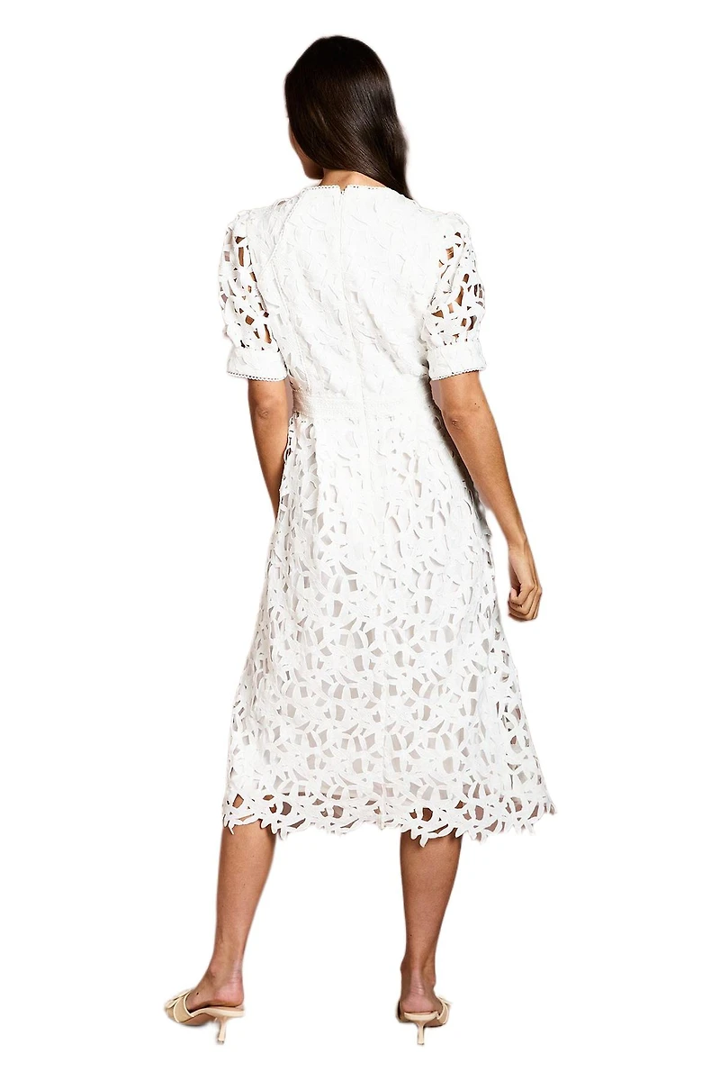 Coast Women's Short Sleeve Lace Midi Dress