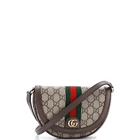 Pre-Owned Gucci Mini Ophidia Curved Flap Shoulder Bag Gg Coated Canvas