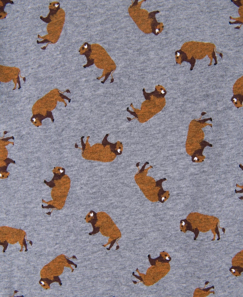 Leveret Toddler Boys Matching Family Two-Piece Cotton Long Sleeve Shirt and Pants Pajama Set 2T-5T - Animal Nature Prints