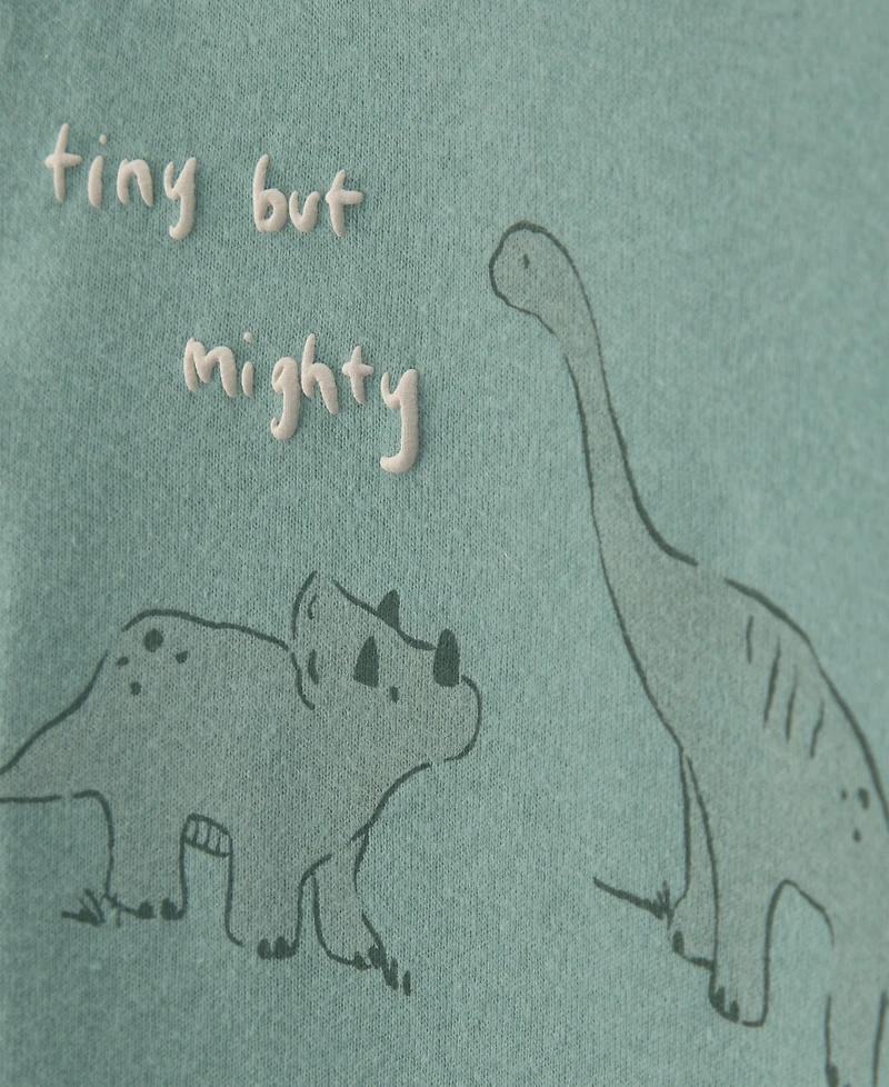 Carter's Baby Boys' Dinosaur Long-Sleeve Top and Pant 4-Piece Set