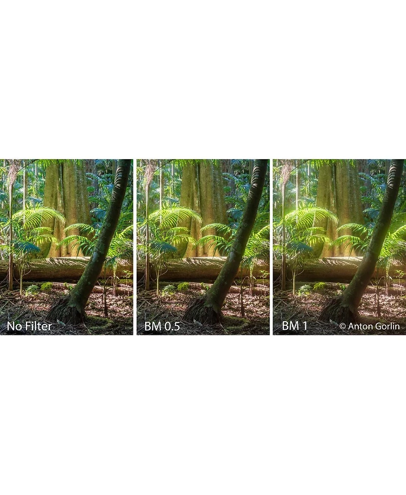 Hoya 52mm Mist Diffuser No. 0.5 Glass Filter