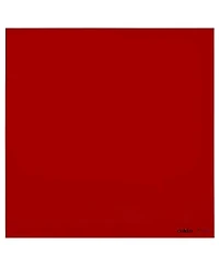 Cokin Z3 Red Filter, 100x100mm Z-Pro Series