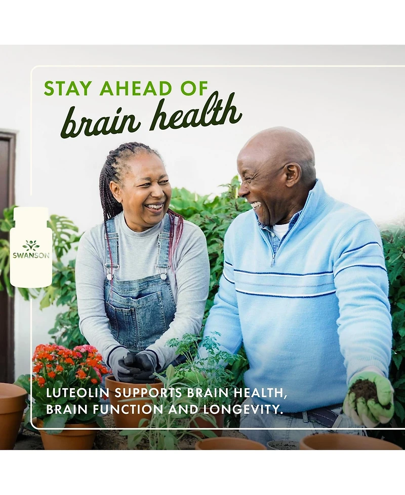 Swanson Luteolin Complex With Rutin, Brain Support Supplement, Memory, Mood and Cognitive Health, quality Formula for Nervous System, 30 Capsules