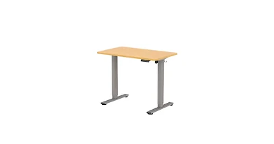 FlexiSpot E2 40" x 24" Electric Height-Adjustable Standing Desk
