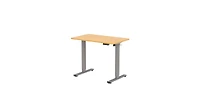 FlexiSpot E2 40" x 24" Electric Height-Adjustable Standing Desk