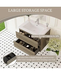 Sillysis 29.5 Inch Wall Mounted Bathroom Vanity with Resin Sink, Soft Close Drawers, Modern Storage Cabinet, Easy Installation