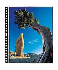 Itoya Art Profolio 11x17" Crystal Clear PolyGlass Pages, Portrait, 10 Pages Per Pack