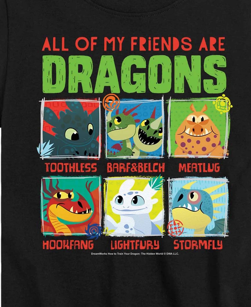 How to Train Your Dragon Toddler Boys' 2T-5 Short-Sleeve T-Shirt