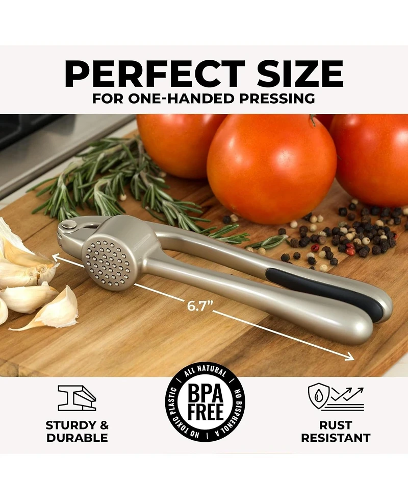 Premium Garlic Press Set - Rust Proof & Dishwasher Safe Professional Garlic Mincer Tool
