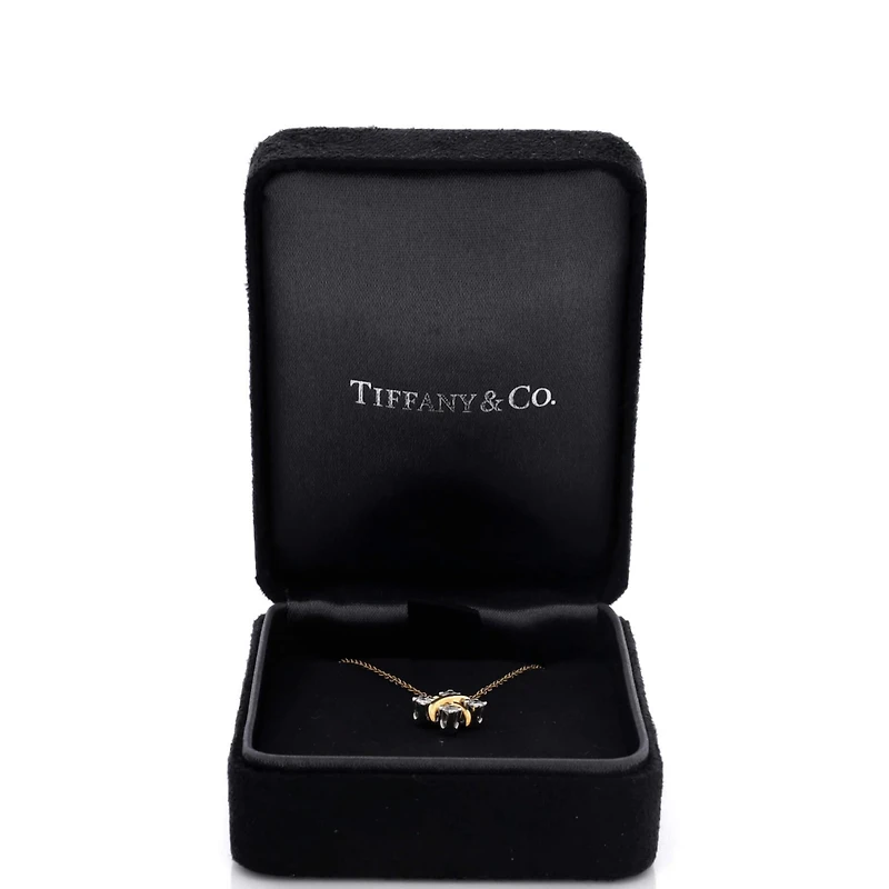 Pre-Owned Tiffany & Co Schlumberger Lynn Pendant Necklace