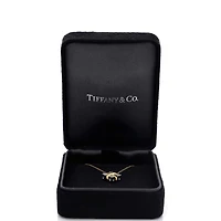 Pre-Owned Tiffany & Co Schlumberger Lynn Pendant Necklace