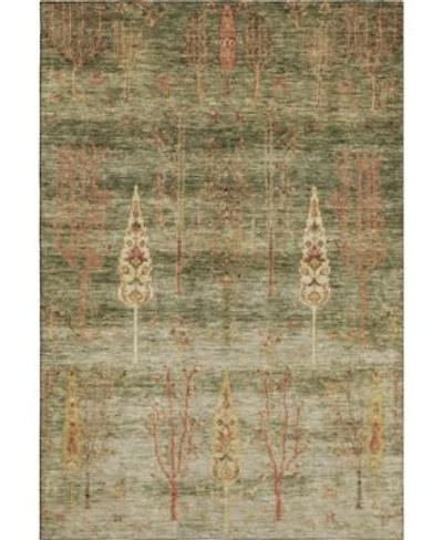 Addison Mayfield Machine Washable Amf1922 Area Rug Collection