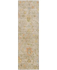 Addison Mayfield AMF1930 2'3"x7'6" Runner
