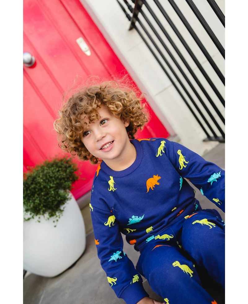 Holly and Beau Boys Dinosaur Cotton Crew Neck Sweatshirt