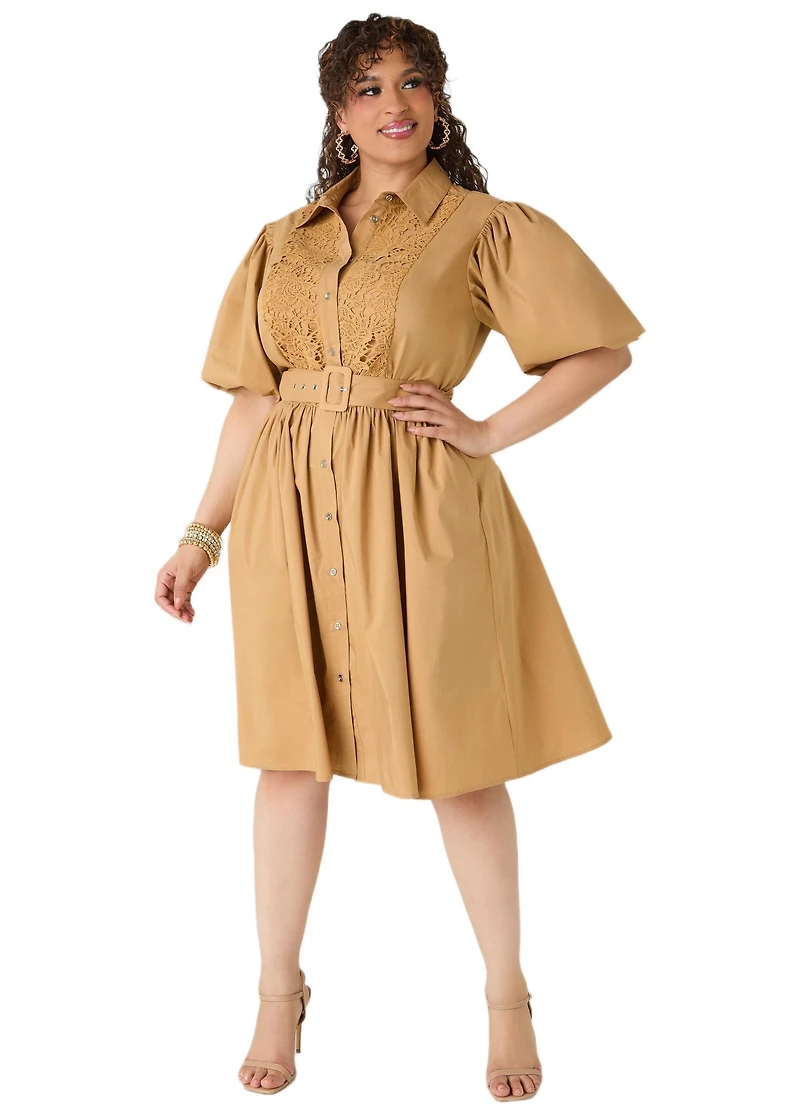 Ashley Stewart Women's Crochet Panel A Line Shirtdress