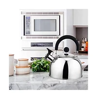 2.5 Qt Stainless Steel Teapot – Whistling Kettle with Ergonomic Stay-Cool Handle and Quick Heat Base