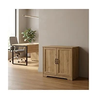 Sauder Miscellaneous Storage Cabinet