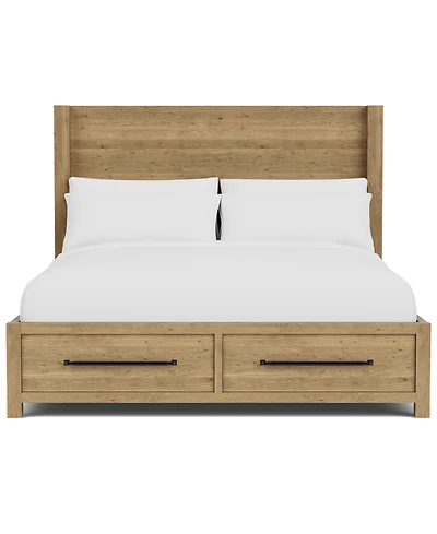 Davie Queen Storage Panel Bed