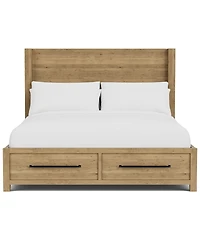 Davie Queen Storage Panel Bed
