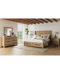 Davie 3-Pc. Queen Storage Bedroom Set (Panel Bed