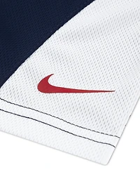 Nike Boys' 4-7X Graphic Baseball T-Shirt and Mesh Shorts, 2-Piece Set