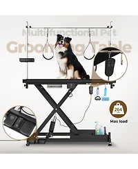 Streamdale Furniture Deluxe Electric Pet Grooming Table, Height Adjustable