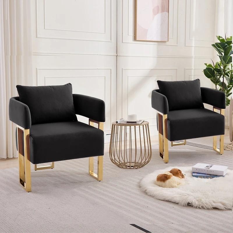 Streamdale Furniture Modern decorative chair with gold legs, velvet fleece upholstered, 2 piece