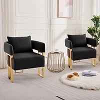 Streamdale Furniture Modern decorative chair with gold legs, velvet fleece upholstered, 2 piece
