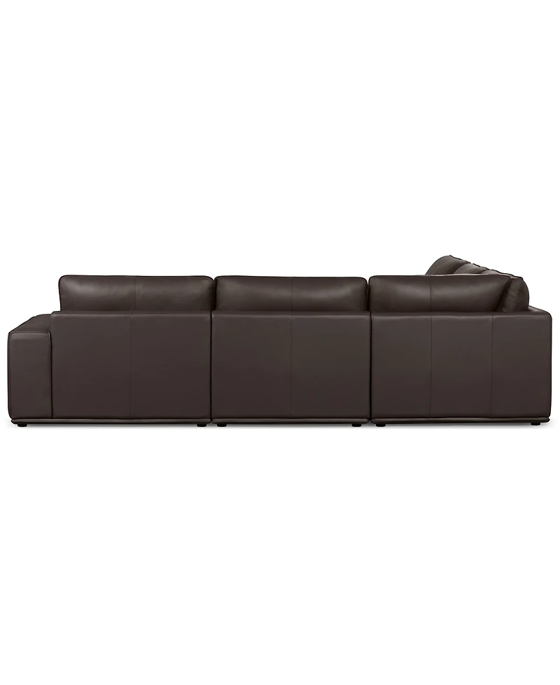 Paitlyn 5-Piece Leather L-Shape Sectional