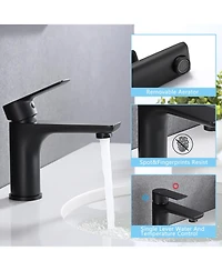 Midola Single Handle Lavatory Basin Sink Faucet with Matte Black Finished, Fingerprints and Water Spot Resistant for Bathroom