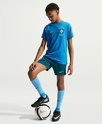 Nike Big Boys and Girls Blue Brazil National Team 2026 Strike Dri-fit T-t-Shirt