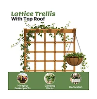 Aoxun 72" Cedar Planter and Trellis Combo C Freestanding Garden Tower in Honey