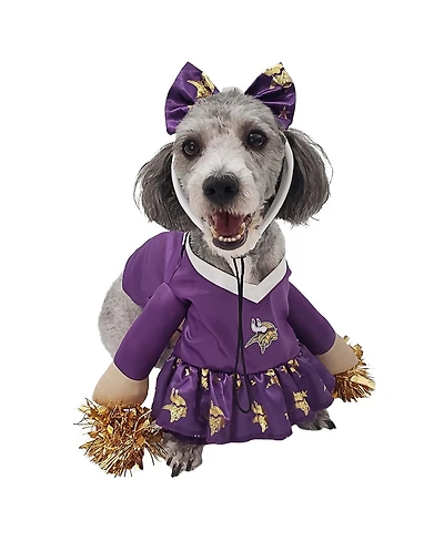 Jerry Leigh Minnesota Vikings Cheer Dog Costume
